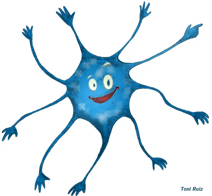 ejercicio para las neuronas