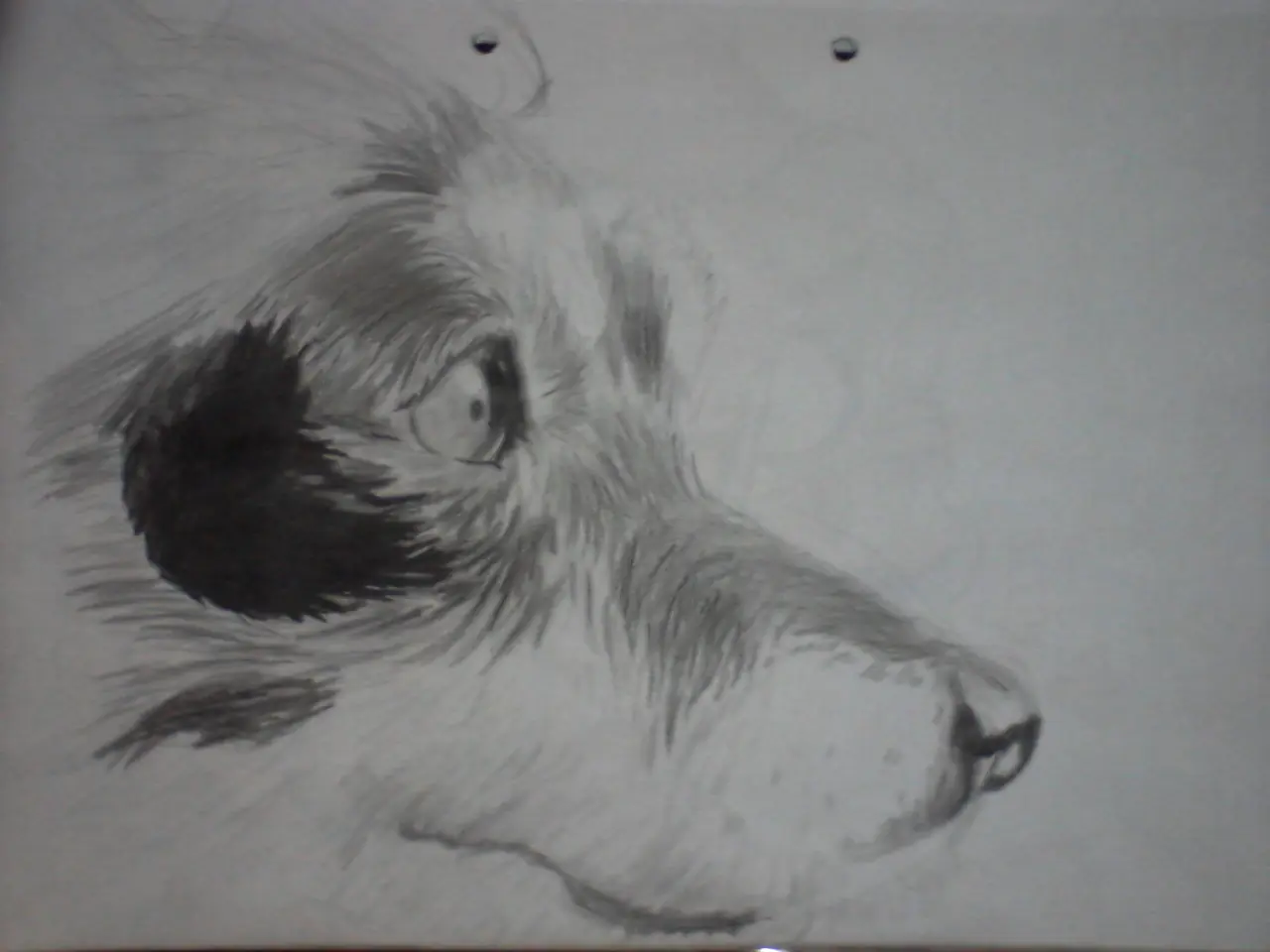 mis dibujos del cuaderno