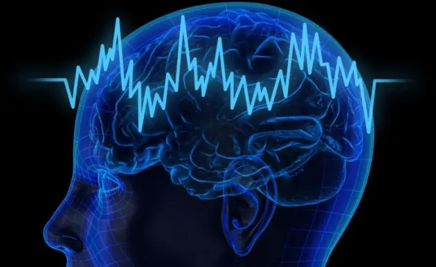 cómo se forma la memoria en el cerebro