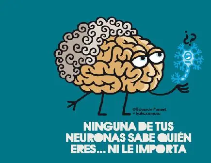 El cerebro y la música...¿a que no sabias? + yapa camel