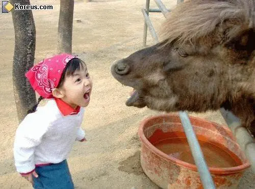 dailyhaha