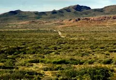 A 100 años del fallecimiento de la "reina" Bibian