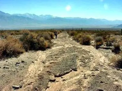 ruta