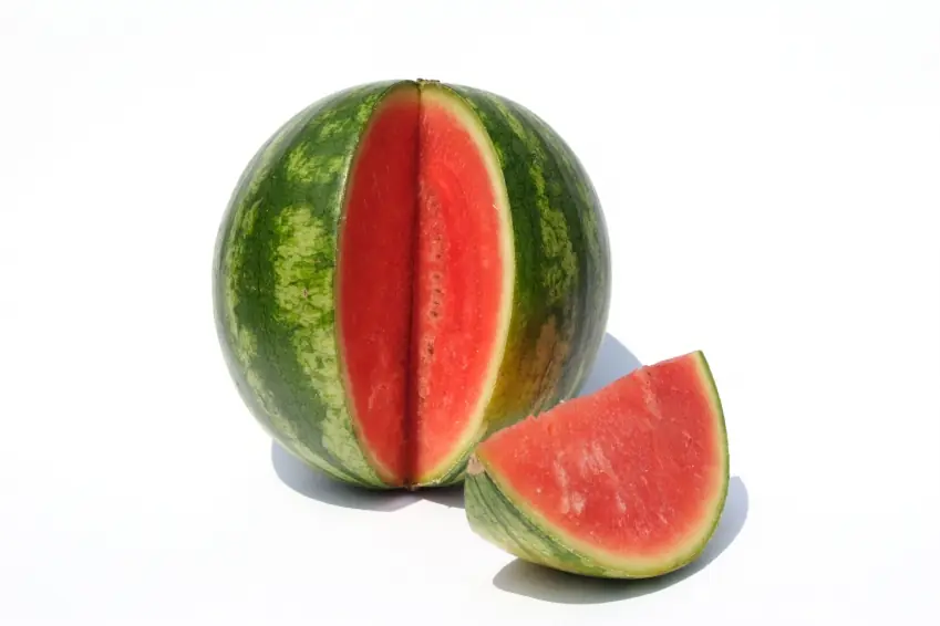 sandias