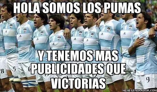 pumas