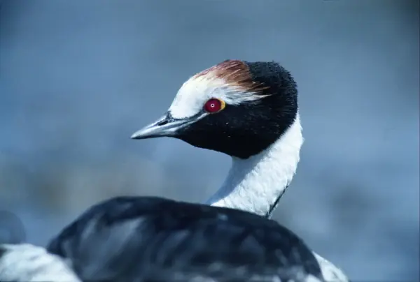 conservación de la naturaleza