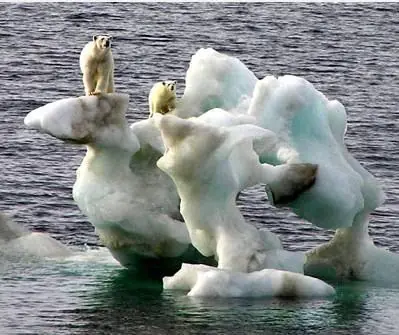 ecologia
