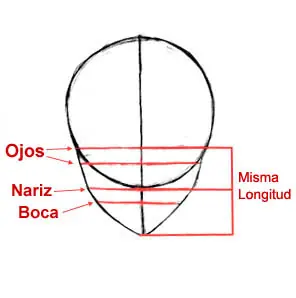 cabeza