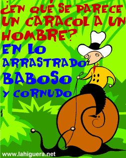 Memes feminista y machistas