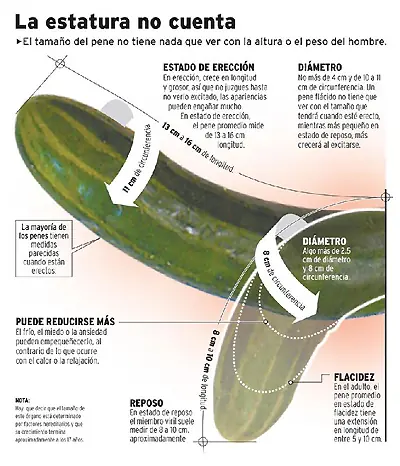 ciencia