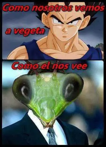 Chistes