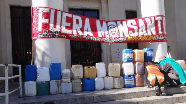 Monsanto cultivará maíz transgénico de última generació