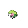 pokemon blanco