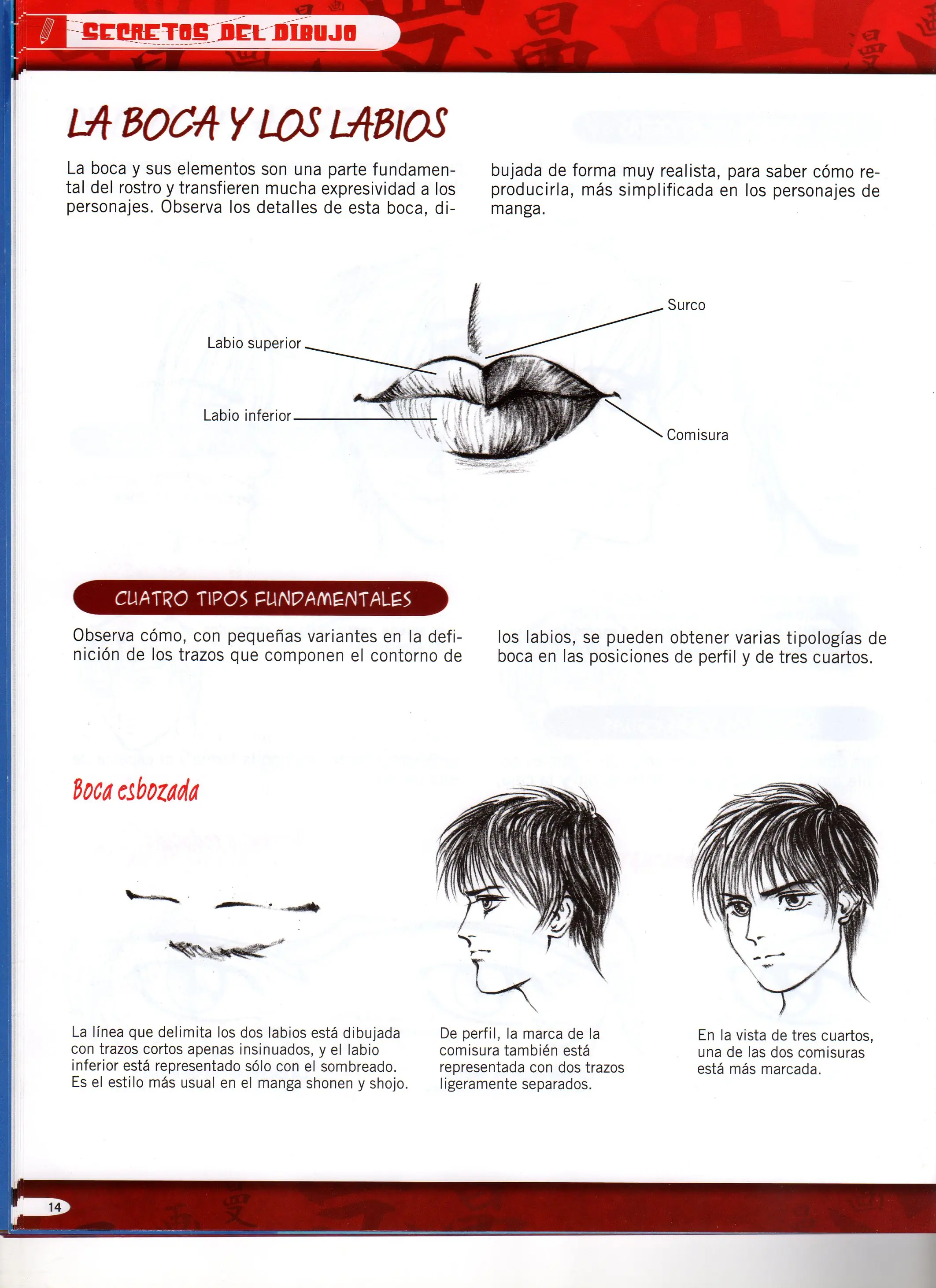 parte