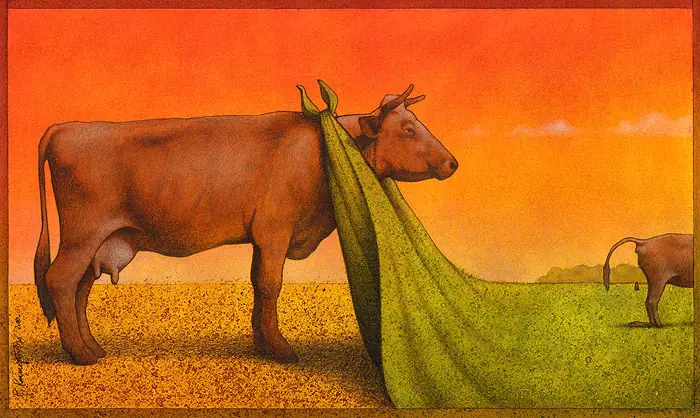 pawel kuczynski