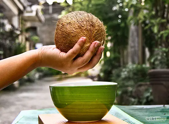 Como comer un coco