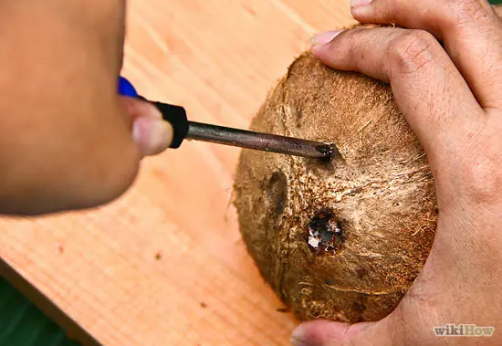 coco