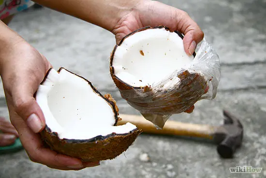 coco