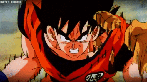 gohan