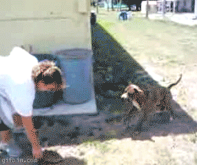fails y wins de las mejores acrobacias gifs