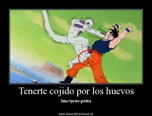 dragon ball z