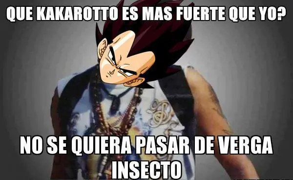 gohan