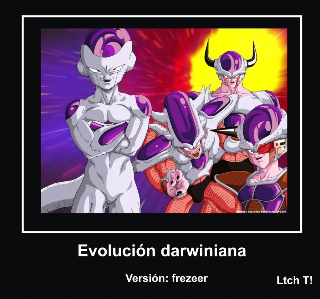 vegeta