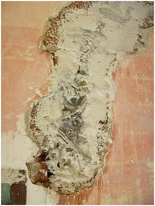 virulana