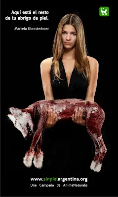 Peta