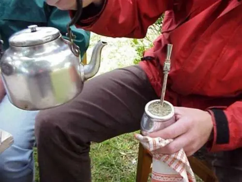 yerba