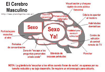 machismo