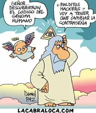 programador