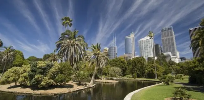 El parque botánico de Sydney, un tesoro natural.