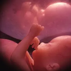 Argumentos contra el aborto