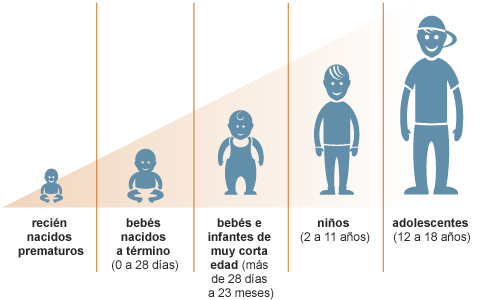 educacion
