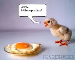 Las imagenes mas graciosas!!!