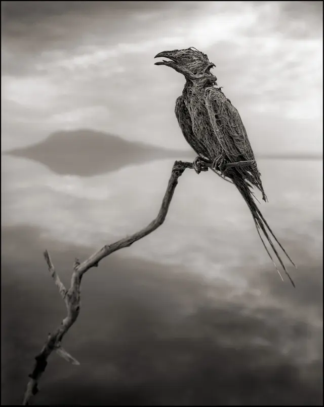 Animales convertidos en piedra en un lago en Tanzania (Fotos