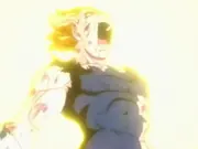 vegeta