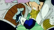 vegeta