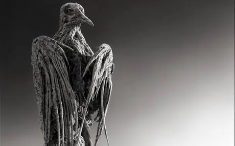 Lago que convierte a animales en estatuas de sal