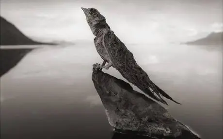 consecuencias