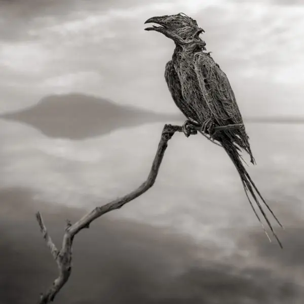Muerte