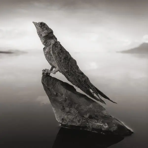 lago