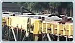 El tren, un transporte olvidado.