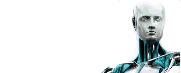 Gatos Vs Perros - 11 cosas que no sabias