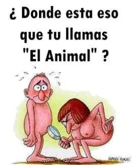 bueno