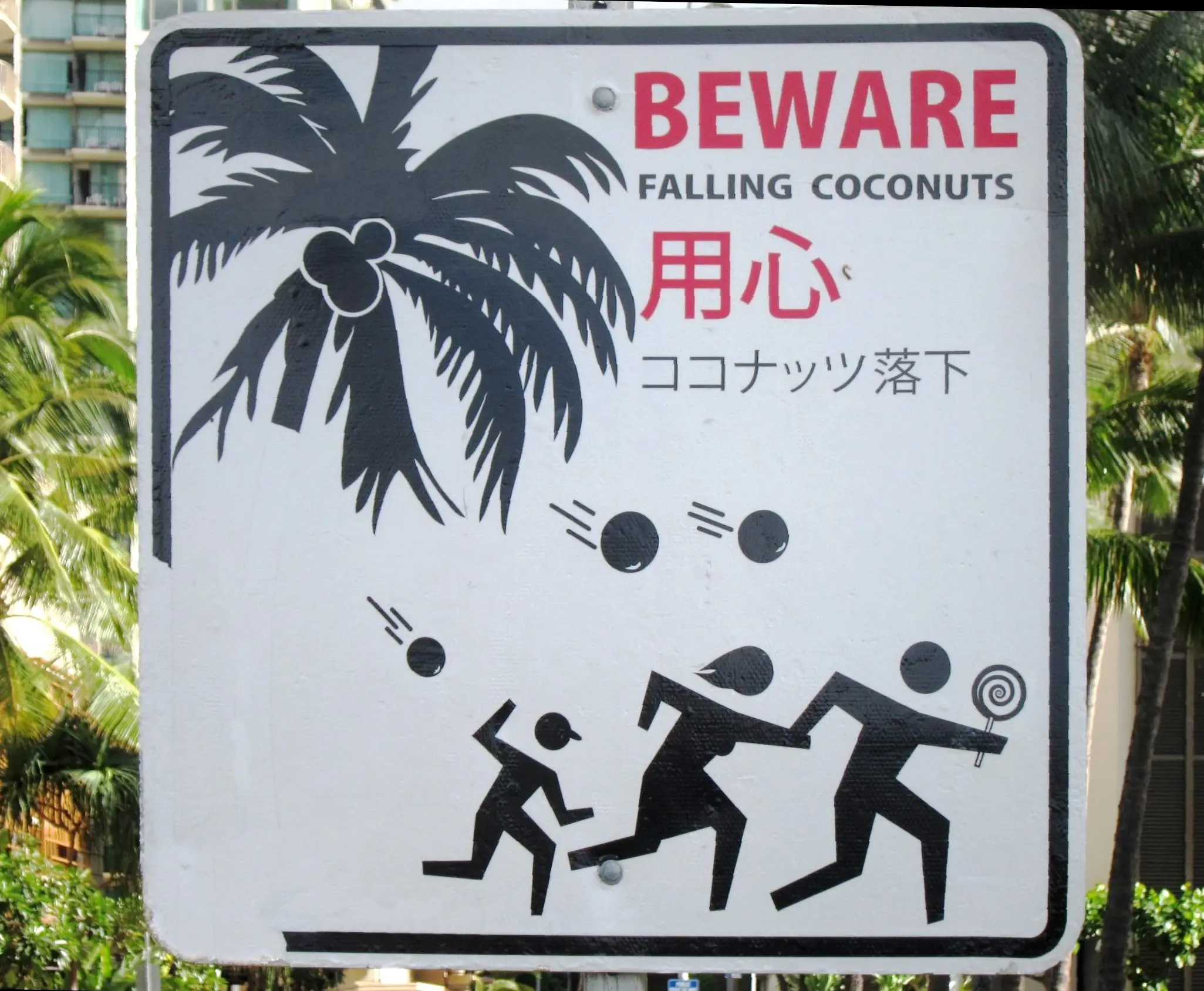 Cuidado con los cocos, te pueden romper el coco