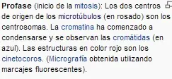 inteligentes