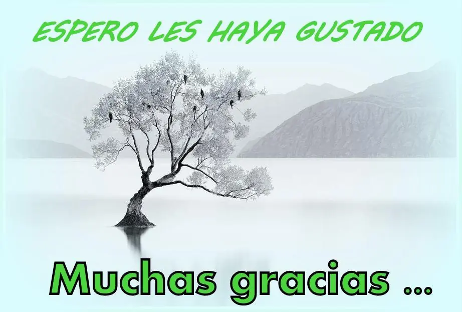 inteligentes