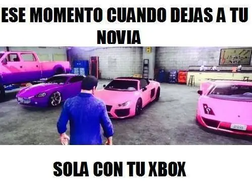 Las plantas, toman decisiones y se mueven